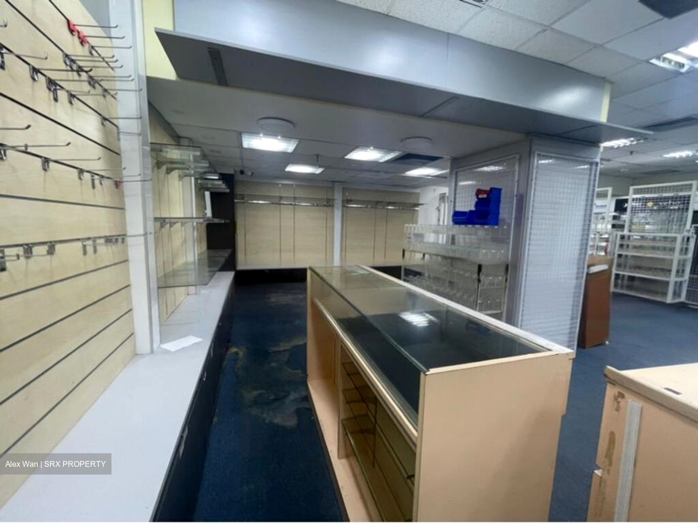 Sim Lim Tower (D8), Shop House #486255511